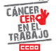 http://www.cancerceroeneltrabajo.ccoo.es/cancercero/