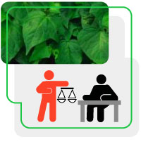 Imagenes web. Psicosociales A4
