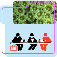Imagenes web. Psicosociales C3
