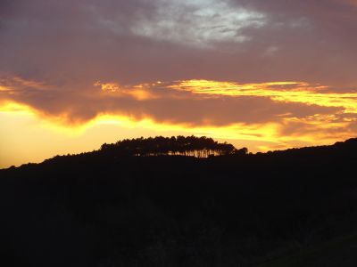 Atardecer