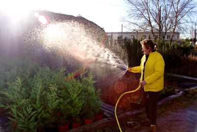 Regando plantas agricultura jardineria