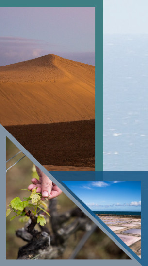 TJ_tri_canarias