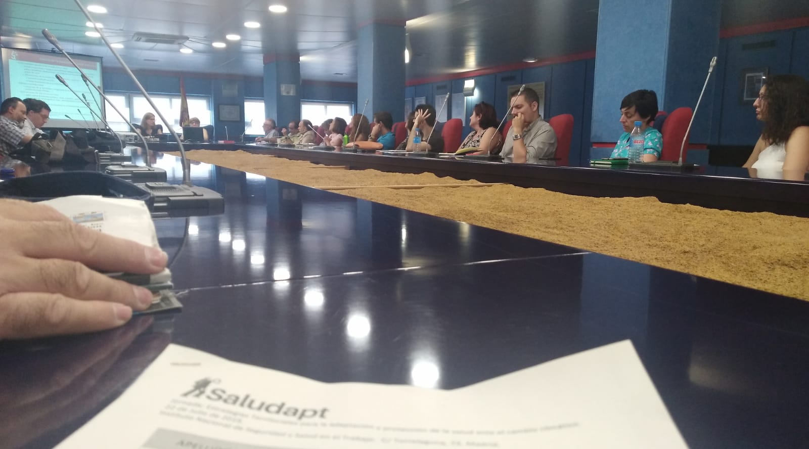 Jornada Madrid Saludapt