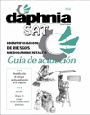 n�m 16