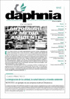 n�m 17