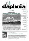 n�m 29