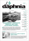 n�m 31