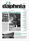 n�m 32