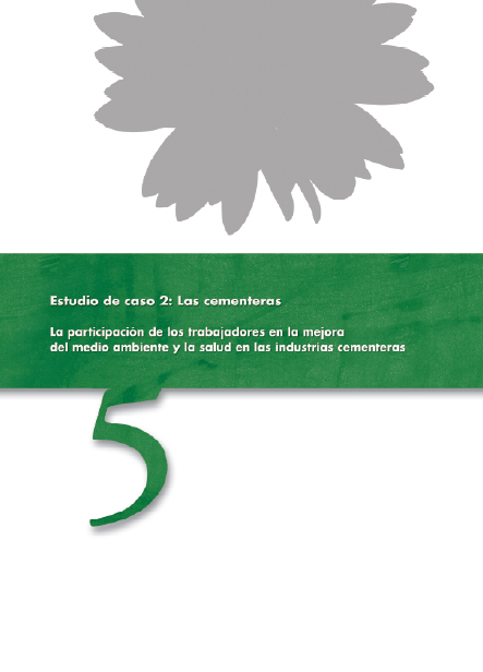 Publicaci�n ISTAS: La participaci�n de los trabajadores en la mejora del medio ambiente y la salud : el caso de las cementeras. La participaci�n de los trabajadores en la mejora del medio ambiente y la salud en las industrias cementeras